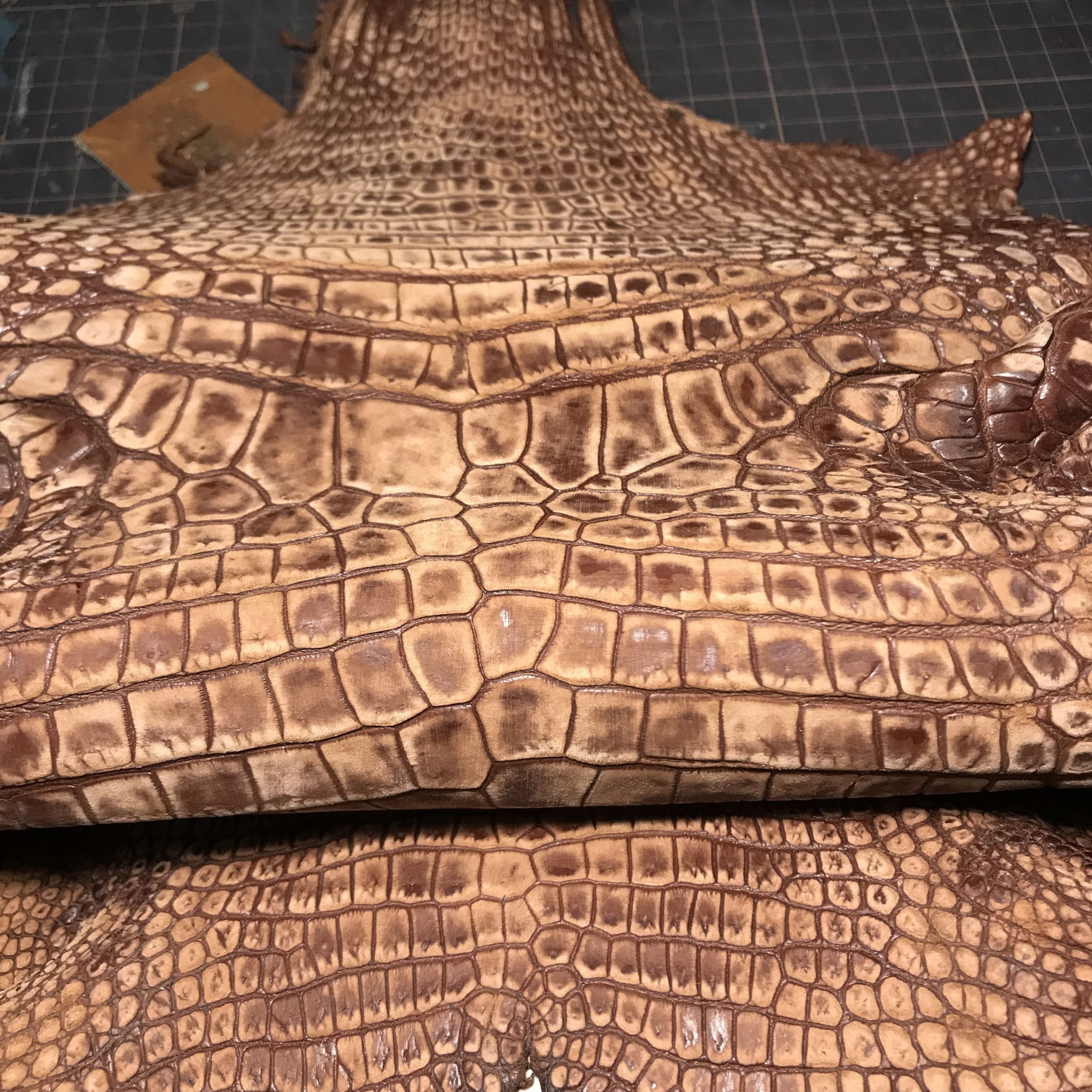 Crocodile nubuck leather